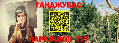 дживик Жуковский