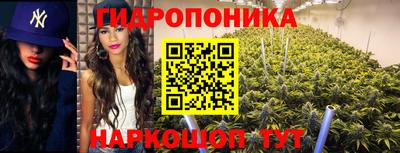 ECSTASY Заволжье